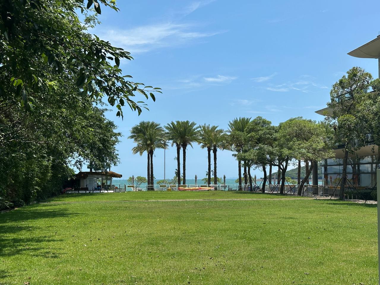 Зелёный двор с пальмами рядом с морем в Silver Beach